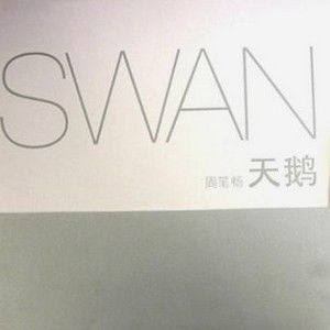 周笔畅歌曲:天鹅歌词