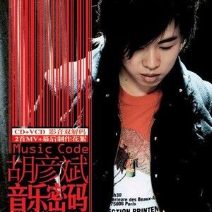 胡彦斌歌曲:天若有情歌词