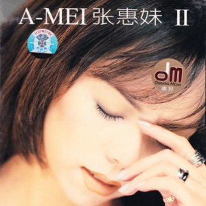 张惠妹歌曲:爱过你歌词