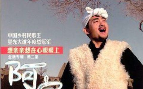 阿宝歌曲:爱你在心口难开歌词