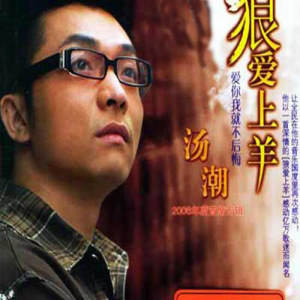 汤潮歌曲:爱你我不后悔歌词