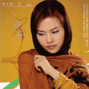 林子娟歌曲:缘情梦歌词