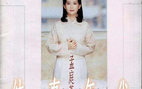 孟庭苇歌曲:就要挥别歌词