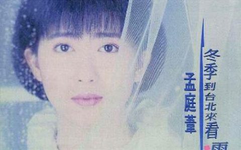 孟庭苇歌曲:没有情人的情人节歌词