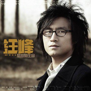汪峰歌曲:怒放的生命 《北京青年》电视剧插曲歌词
