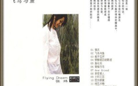 张炜歌曲:相见太晚歌词