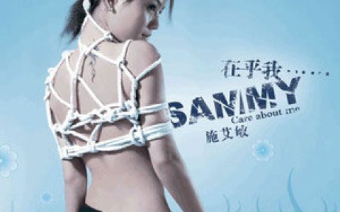 施艾敏歌曲:两只小蜜蜂歌词