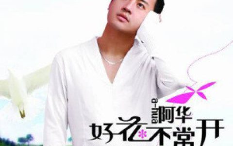 阿华歌曲:不要太完美歌词