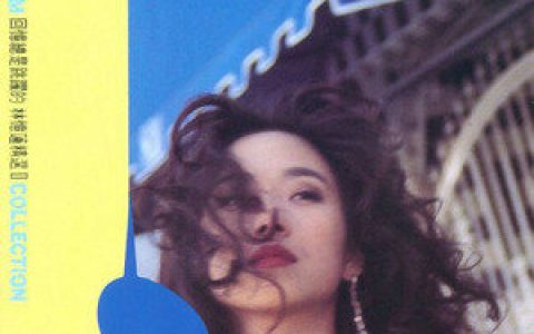 林忆莲歌曲:不不不之灵魂蒸发实录歌词