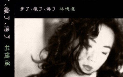 林忆莲歌曲:梦了歌词