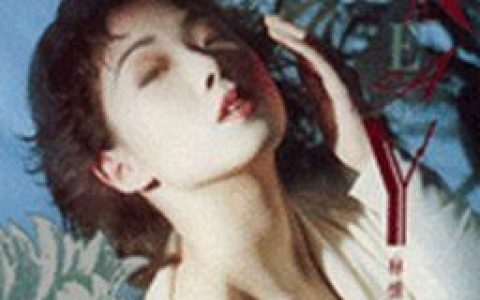林忆莲歌曲:最佳男主角歌词