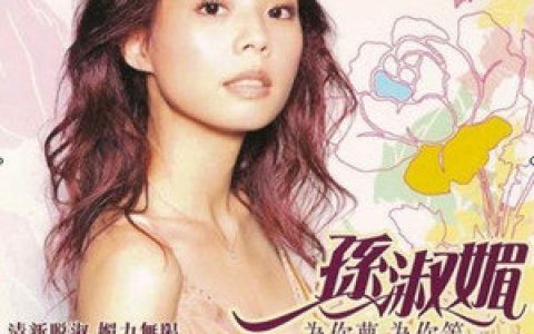 孙淑媚歌曲:爱情的专线歌词