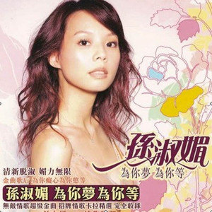 孙淑媚歌曲:爱情的专线歌词