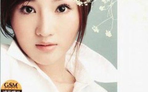 胡瑶歌曲:为了遇见你歌词
