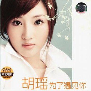 胡瑶歌曲:为了遇见你歌词