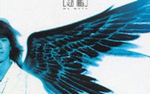 赵鹏歌曲:北风是你最后给我的拥抱歌词