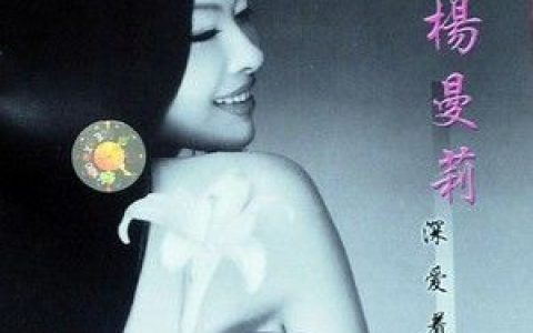 杨曼莉歌曲:海鸥歌词