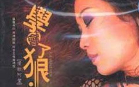 阿紫歌曲:听说爱情回来了歌词