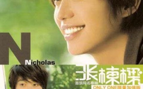 张栋梁歌曲:当你孤单你会想起谁歌词