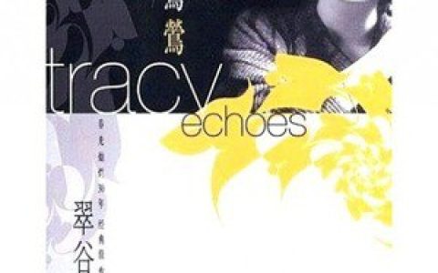 黄莺莺歌曲:沙漠之足歌词