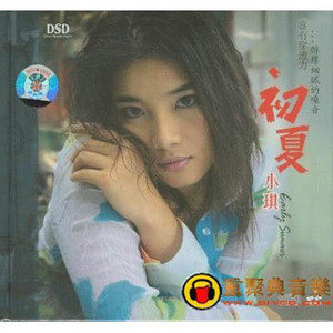 小琪歌曲:多少柔情多少泪歌词