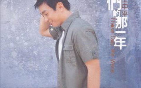 王中平歌曲:因为你有我歌词