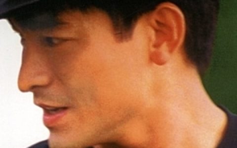 刘德华歌曲:真情难收歌词