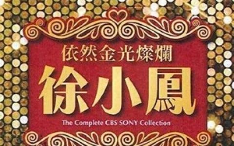 徐小凤歌曲:风雨同路歌词
