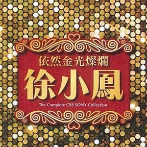 徐小凤歌曲:风雨同路歌词