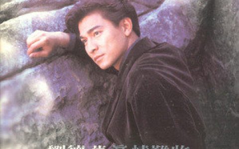 刘德华歌曲:言不由衷歌词
