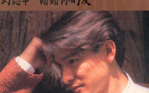 刘德华歌曲:我的苦你明白歌词