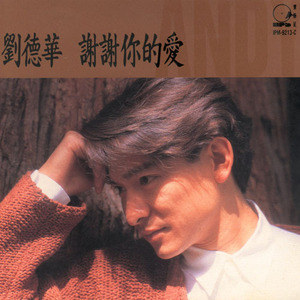 刘德华歌曲:浪淘沙歌词