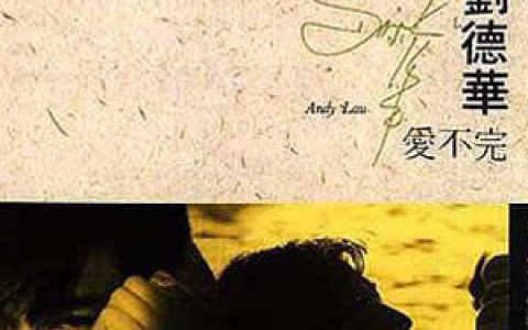 刘德华歌曲:全人类注视歌词