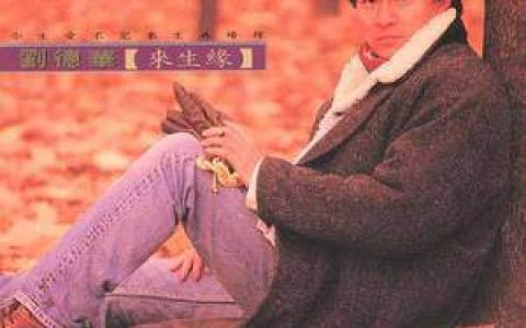 刘德华歌曲:你总是最晚来最先走歌词