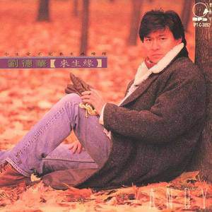 刘德华歌曲:你总是最晚来最先走歌词