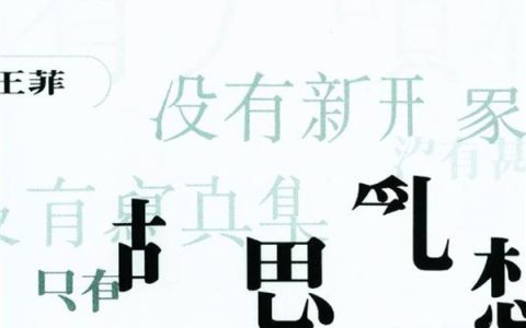 王菲歌曲:容易受伤的女人歌词