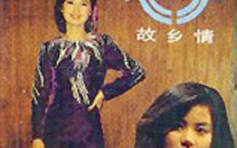 王菲歌曲:微风细雨歌词