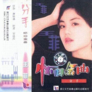 王菲歌曲:童年的故乡歌词