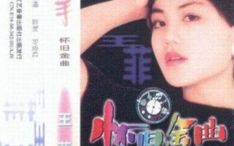王菲歌曲:你的影像歌词