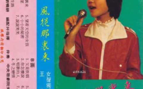 王菲歌曲:故乡从不拒绝我歌词