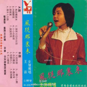 王菲歌曲:唱歌的人歌词