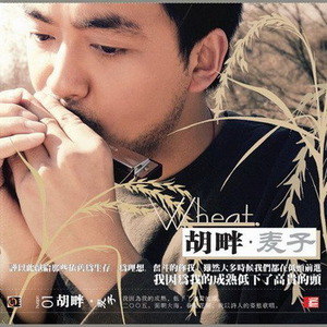 胡畔歌曲:雪歌词