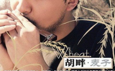 胡畔歌曲:麦子 (Demo版)歌词