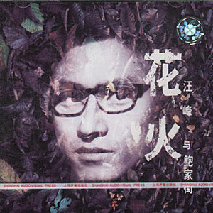 汪峰歌曲:美丽世界的孤儿歌词
