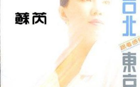 苏芮歌曲:不再流浪歌词