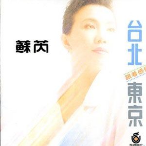 苏芮歌曲:不再流浪歌词