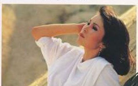 黄莺莺歌曲:炎夏的梦歌词