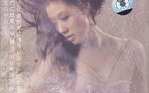 王丽达歌曲:五百里歌词