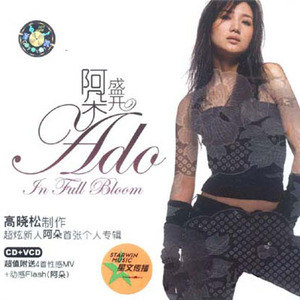 阿朵歌曲:他走了歌词