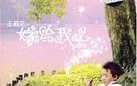 王启文歌曲:传奇歌词